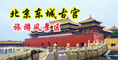淫女骚穴流白浆视频中国北京-东城古宫旅游风景区